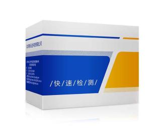 ZYD-HZPXACL-10化妆品酰胺醇（氯霉素）快筛盒 祛痘祛粉刺