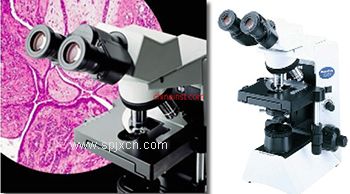 日本奧林巴斯(Olympus)CX31顯微鏡